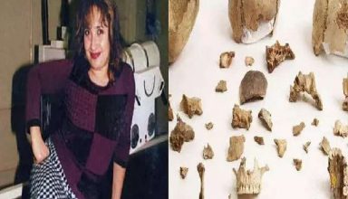 शर्मनाक! वेटर ने अपनी ही मां को 1000 टुकड़ों में काटा , फिर डॉगी के साथ मिलकर खाया