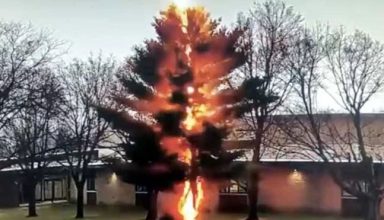 स्कूल में पढ़ रहे थे बच्चे, अचानक गिरी बिजली, फिर जो हुआ…देखें VIDEO
