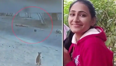 लेडी टीचर को मिली भयानक मौत, आ गई थी डंपर के टायर के नीचे, घटना CCTV में कैद