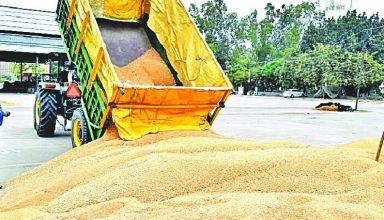 कृषि कानून: पंजाब के किसानों के खाते में पहली बार सीधा पहुंचा उनकी फसल का पैसा, बिना किसी बिचौलिए के सरकार ने खाते में भेजा पैसा