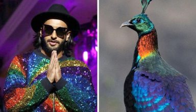 पक्षियों को देखकर Ranveer Singh अपनाते हैं अतरंगी फैशन, हुआ खुलासा, देखें तस्वीरें