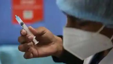 …यहाँ Corona Vaccine की जगह लगाया जा रहा कुत्तों का टीका, मामला जानकर आप भी कहेंगे