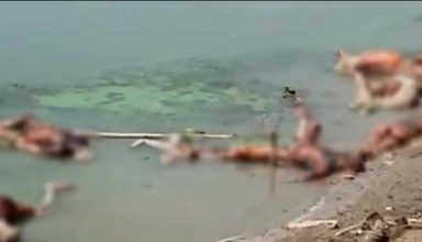 गंगा में नहीं थम रहा शवों का बहना अब चंदौली, वाराणसी और भदोही में गंगा में मिले 17 शव, ग्रामीणों में फैली दहशत