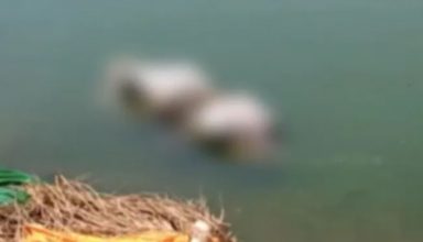 बिहार के बक्सर जिले से सामने आई इंसानियत को शर्मसार करने वाली तस्वीरें, चौसा के महादेव घाट पर लगा लाशों का अंबार