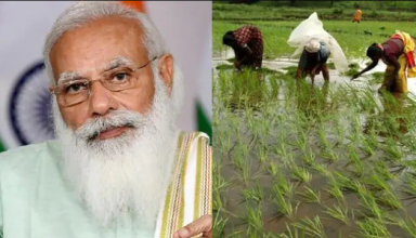 किसानों के लिए मोदी सरकार का बड़ा तोहफा, दूर होगी किसानों की नाराजगी?