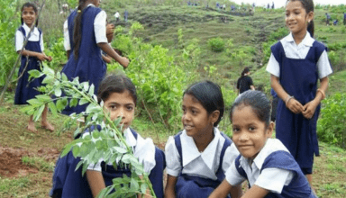 इस राज्य के मुख्यमंत्री ने किया ऐलान, कहा- पौधे लगाने पर छात्रों को मिलेंगे एक्स्ट्रा मार्क्स