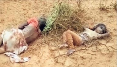 45 डिग्री तापमान में 25 कि.मी. पैदल चलने को मजबूर हुई नानी-पोती, पानी न मिलने से बच्ची की तड़प-तड़प कर मौत