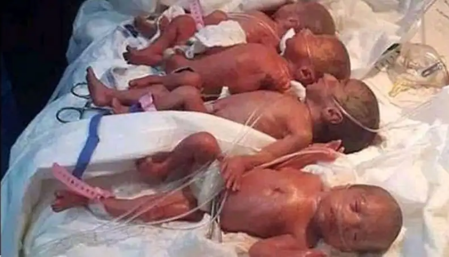 इस महिला ने एक साथ 9 बच्चों को जन्म देकर तोड़ा वर्ल्ड रिकॉर्ड, डायपर बदलने और दूध को लेकर मां की जान खा जाते हैं मासूम