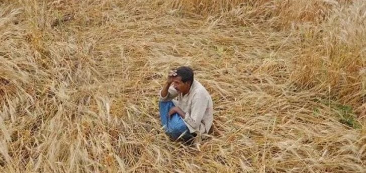 देश के किसानों पर करीब 17 लाख करोड़ रुपये का बकाया, केंद्र ने कहा- माफी की कोई योजना नहीं, पंजाब ने किया ऐलान…