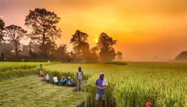 किसानों की मदद के लिए सरकार ने लॉन्च किया ‘Kisan Sarathi’ एप, जानिए इसके फायदे!