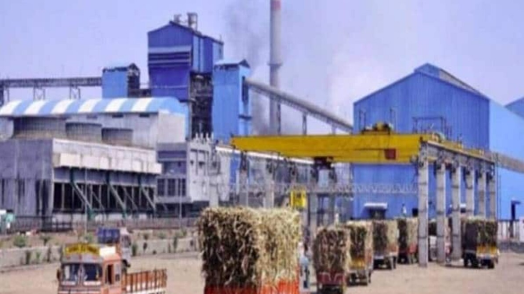 योगी सरकार की बड़ी कार्रवाई, गन्ना भुगतान में लापरवाही पर 5 चीनी मिलों के खिलाफ जारी की RC, किसानों में खुशी