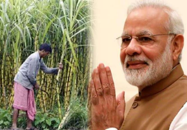 मोदी सरकार का गन्ना किसानों को बड़ा तोहफा, सरकार ने बढ़ाया एफआरपी, जानिए क्या है नया दर