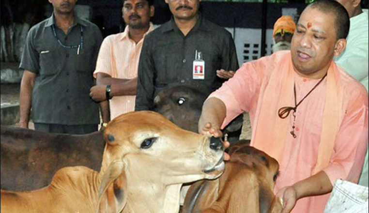 योगी सरकार गो संरक्षण केंद्रों को बनाएगी आत्मनिर्भर, शासन ने दिया प्रोजेक्ट तैयार करने का निर्देश