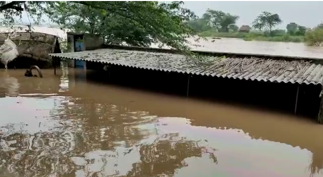 चंबल नदी के उफान से आगरा में हाई अलर्ट, तटवर्ती इलाकों में जारी हुआ दिशा-निर्देश