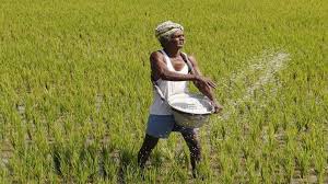 9 अगस्त को किसान सम्मान निधि के तहत किसानो के खाते में पहुचेगे 9वीं किस्त के 2000 रुपये