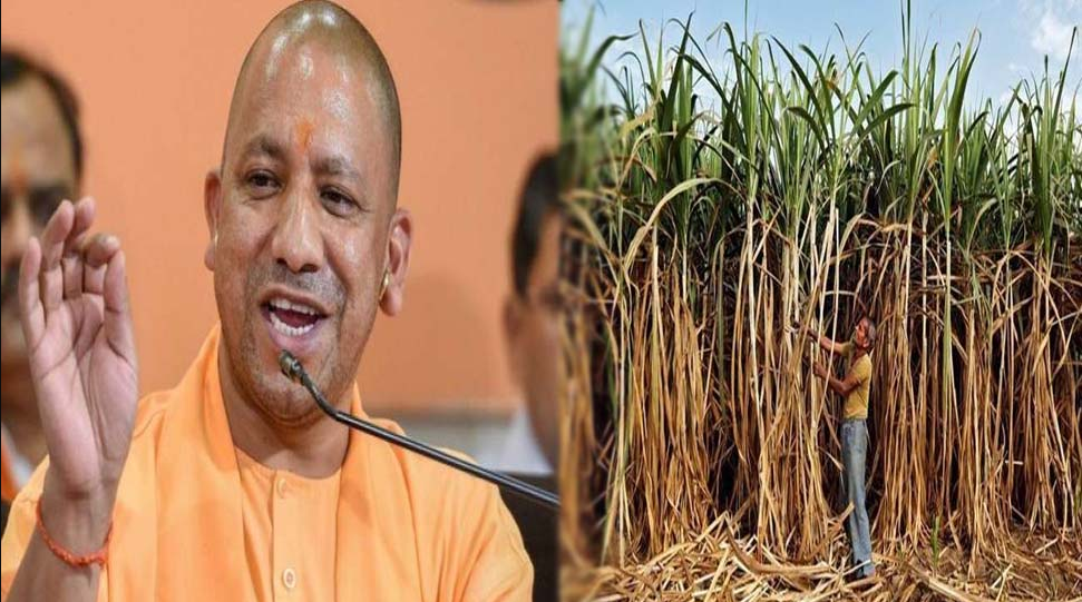 योगी सरकार प्रदेश के गन्ना किसानों को जल्द देगी खुशखबरी, गन्ना मूल्य बढ़ाने की तैयारी