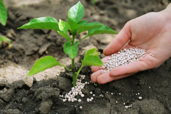 जानिए अब आप कैसे आसानी से प्राप्त कर सकते हैं बीज, उर्वरक