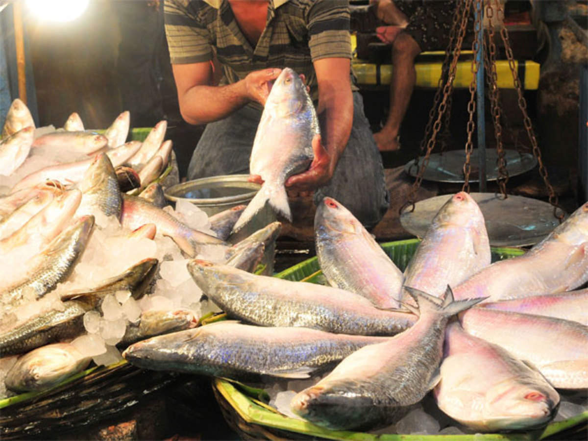 मछली पालन उत्तर प्रदेश में लोकप्रियता प्राप्त कर रहा है