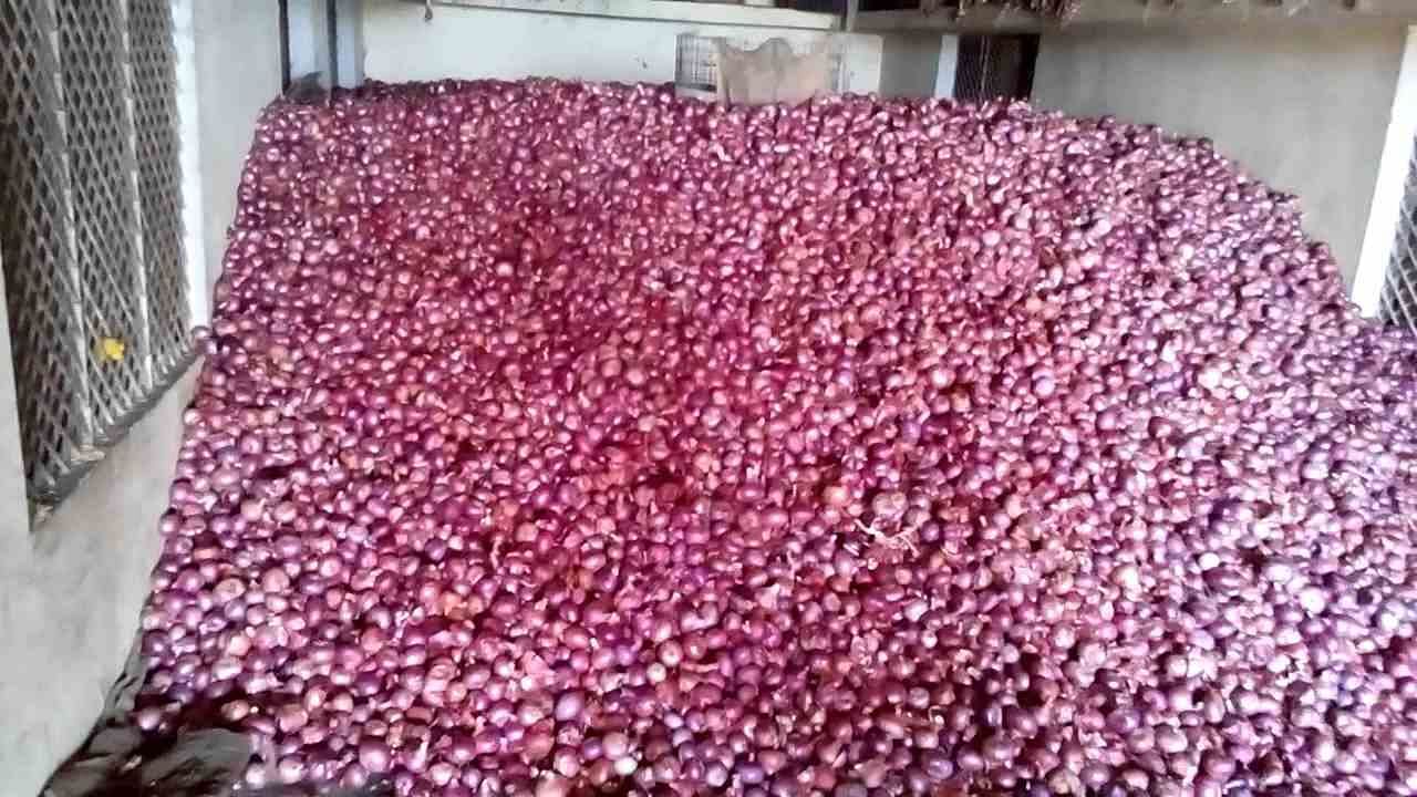 जानिए प्याज भंडारण के लिए सरकार से मिलेगी 50 प्रतिशत सब्सिडी