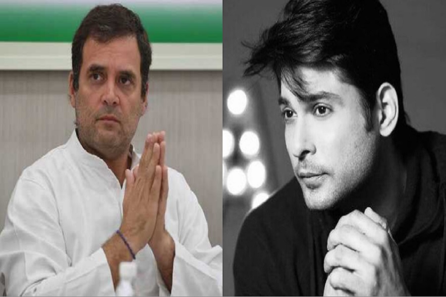सिद्धार्थ शुक्ला के निधन पर कांग्रेस नेता राहुल गांधी ने जताया दुख, कहा- इतनी कम उम्र में जाना एक सदमे की तरह