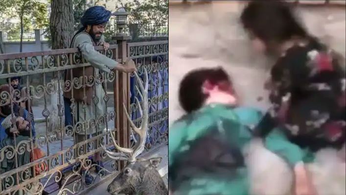 मासूम को बेरहमी से तालिबानियों ने उतारा मौत के घाट, VIDEO देख कांप जाएगा कलेजा…