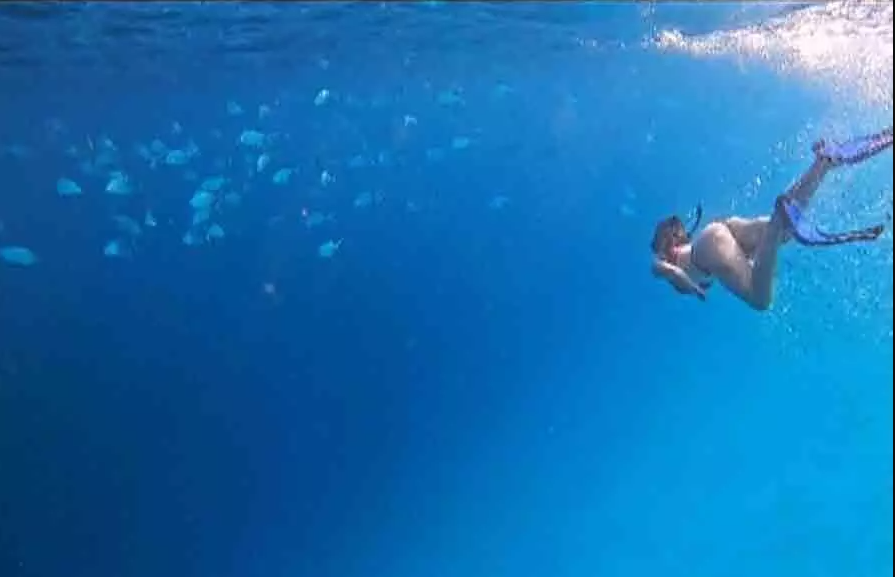समुद्र  में दिशा मछलियों के साथ रेस लगाती आई नजर, वीडियो देख फैंस हुए पागल