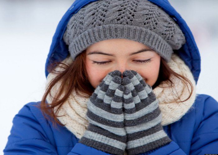 सर्दियों में शरीर को गर्म रखने के लिए खाना शुरू कर दें ये 10 सुपरफूड, मौसमी बीमारियों से करेगा बचाव