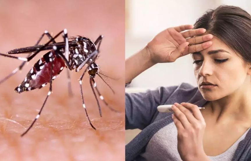 सावधान! 9 राज्यों में डेंगू ने मचाया कोहराम, सरकार ने भेजी हाइलेवल टीम…