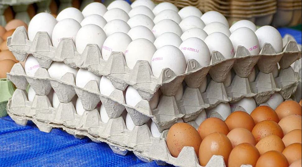 खुले में अंडे और नॉनवेज बेचने पर आपको हो सकती है जेल!, पालिका ने लगाया प्रतिबंध; जानिए कहां…