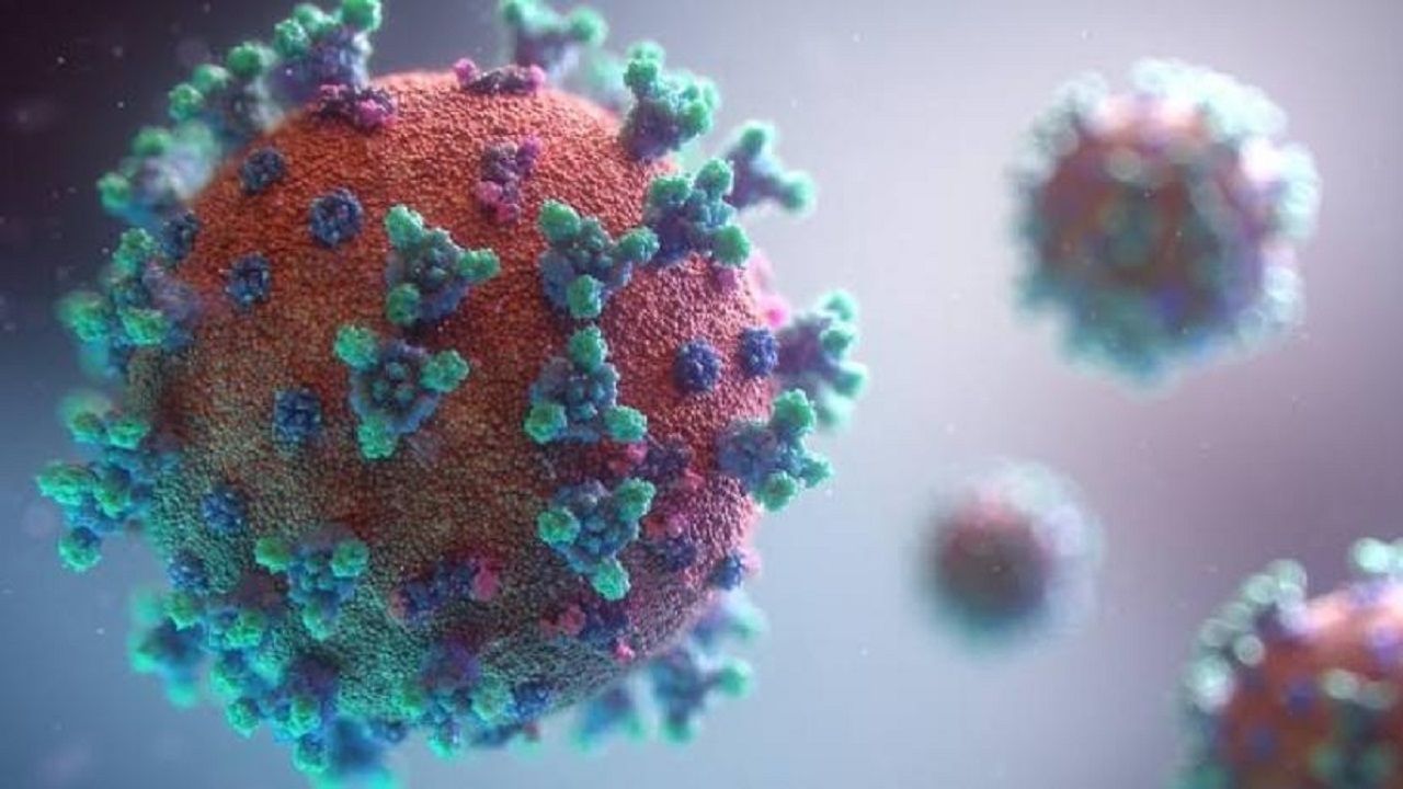 Coronavirus: महामारी विशेषज्ञों ने दी चेतावनी, अगली शताब्दी तक नहीं जाएगा कोरोना वायरस