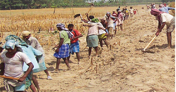 MANREGA BUDGET : ग्रामीण बेरोजगारो के लिए बुरी खबर, बजट मे मनरेगा के फण्ड(fund) मे कटौती