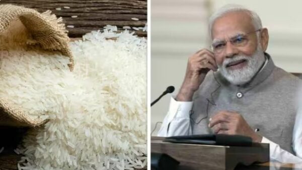 भारत ने गैर बासमती चावलों के निर्यात पर लगाया बैन, कई देशों में चावल के लिए मची भगदड़
