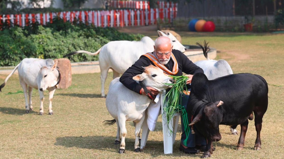 राम मंदिर उद्घाटन: पीएम मोदी का 11 दिनों का उपवास 22 जनवरी तक खाट पर कंबल बिछाकर सोएंगे, खाएंगे फल