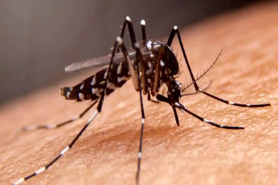 Chandipura Virus: जानिए क्या है चांदीपुरा वायरस,क्या है इसके लक्षण और कैसे करें बचाव