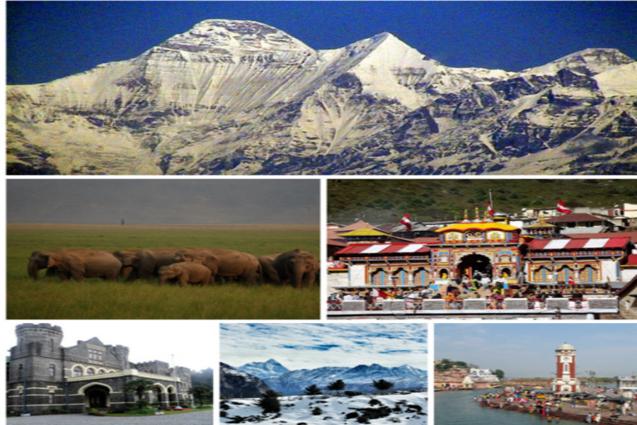 Uttrakhand News : बीते दिनों में क्या-क्या घटना हुई उत्तराखंड में घटित…