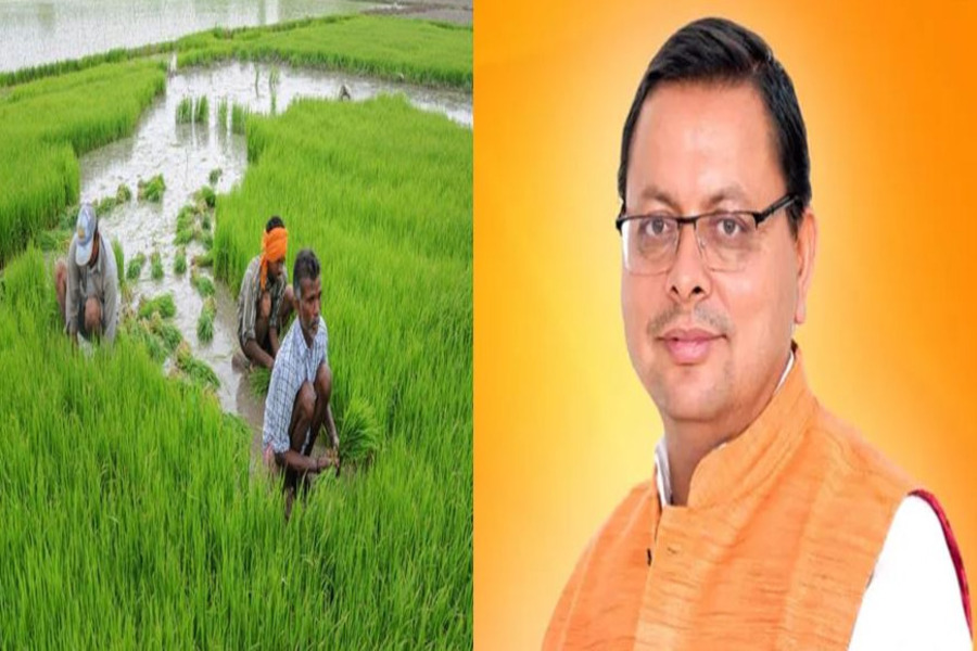 Uttrakhand News: किसानों की आय में होगी वृद्धि,उत्तराखंड से जैविक पदार्थ खरीदेगा NCOL