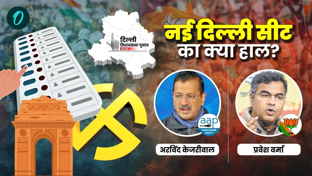 Delhi Election 2025: भाजपा ने मुस्लिम इलाकों में कैसे बढ़ाई AAP-कांग्रेस की टेंशन? जानें सियासी समीकरण