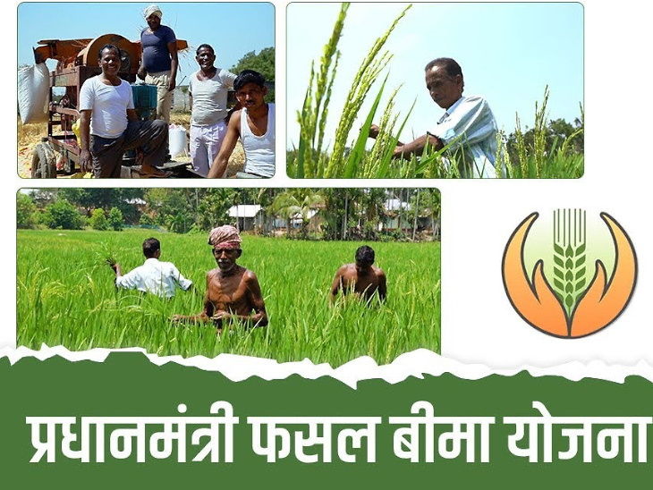 प्रधानमंत्री फसल बीमा योजना के 9 साल पूरे: 21.95 करोड़ किसानों को मिला लाभ, 1.72 लाख करोड़ रुपये का भुगतान