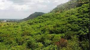 अरावली ग्रीन वॉल परियोजना: 8 लाख हेक्टेयर भूमि पर हरित बफर जोन से सुधरेगा इकोसिस्टम, थार रेगिस्तान के विस्तार पर लगेगी रोक