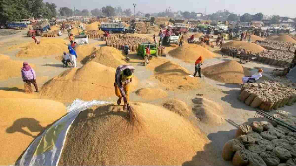 MP News: किसानों के लिए बड़ी खुशखबरी! गेहूं का समर्थन मूल्य 2600 रु. प्रति क्विंटल, 15 मार्च से होगी खरीदी