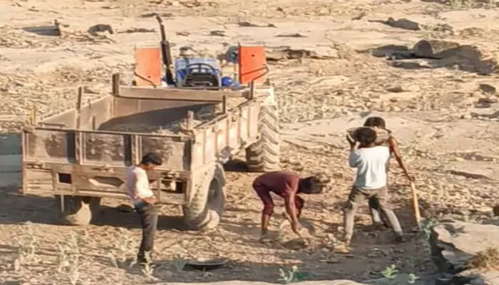Sheopur(MP): पार्वती और चंबल नदी से हो रहा अवैध रेत खनन, घड़ियालों पर संकट गहराया