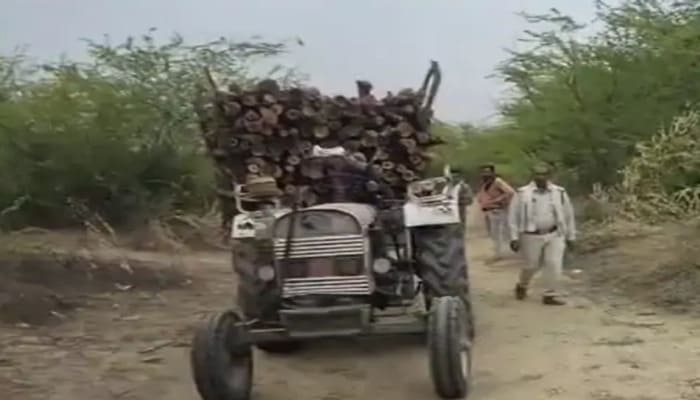 Mp News: भिंड में अवैध लकड़ी तस्करी का भंडाफोड़; ट्रैक्टर-ट्रॉली से 35 क्विंटल लकड़ी बरामद, चालक गिरफ्तार