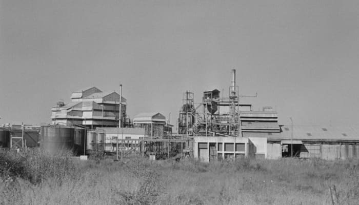 दर्द, संघर्ष और यादें: हिरोशिमा मॉडल पर बनेगा भोपाल गैस त्रासदी स्मारक