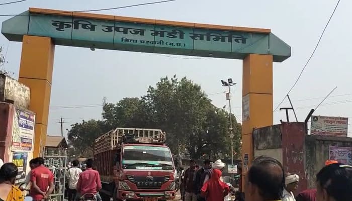 बड़वानी मंडी में सौंफ के गिरते दाम से किसान मायूस... कम भाव के चलते किसानों को खुले आसमान में बितानी पड़ी रात, मंडी सुविधाओं पर उठे सवाल