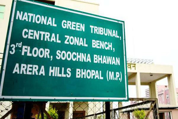 NGT नियमों की अनदेखी: नर्मदा किनारे 300 मीटर प्रतिबंधित क्षेत्र में पीएम आवास स्वीकृत, नगर परिषद पर गंभीर सवाल