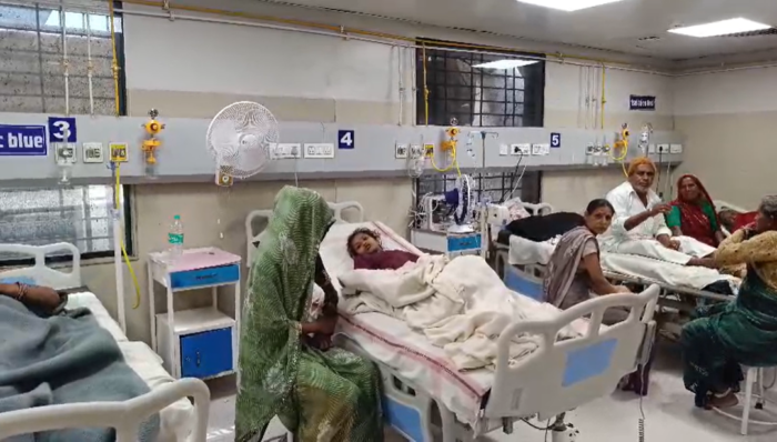 गोपीपुर लोहरवास के जंगल में मधुमक्खियों का भीषण हमला, पास में बकरी चरा रहे 4 लोग घायल