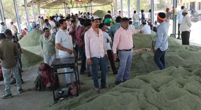 सीजन में पहली बार सौंफ की आवक 1400 बोरी पार, बेमौसम वर्षा के चलते फीकी रही सौंफ की चमक