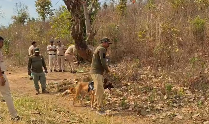 माता-पिता की नजरों से ओझल हुई ढाई साल की मासूम, वन अधिकारियों ने जताई वन्यजीव के हमले की आशंका