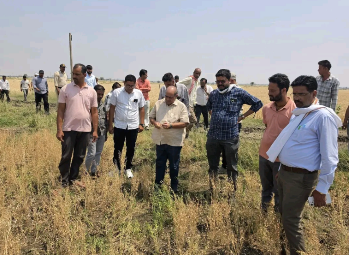 विधायक सूर्य प्रकाश मीणा ने किया ओलावृष्टि प्रभावित क्षेत्रों का दौरा, दिए जल्द मुआवजे के निर्देश