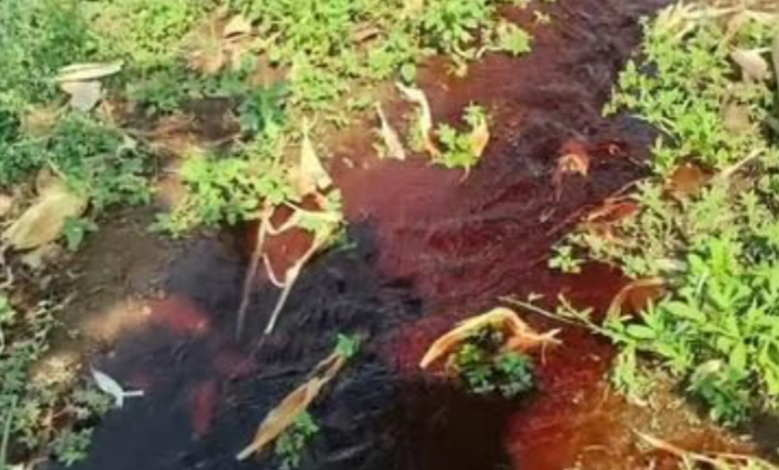 हैंडपंप और बोरिंग से निकल रहा लाल-काला पानी, दूषित पानी से फसलें हो रही बर्बाद